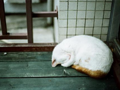 男生霸氣說說適合比較拽的人 十分獨(dú)特的超霸氣說說大全