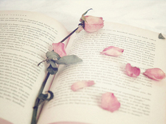 微信朋友圈感動(dòng)說(shuō)說(shuō)心情短語(yǔ) 哪來(lái)的狗屁好脾氣全是因?yàn)槲蚁矚g你