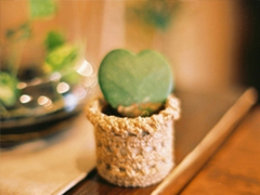 偶爾有點小傷感的心情說說 學會自我安慰的說說