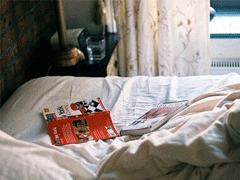 2019豬年微信朋友圈說(shuō)說(shuō)合集 敬豬年一杯酒我先干為敬