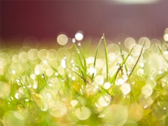 讓你爆笑的幽默有趣的句子 2019最流行搞笑說(shuō)說(shuō)逗比專屬