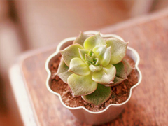 2019朋友圈經(jīng)典說(shuō)說(shuō)大全 人生路上這些道理你必須懂得