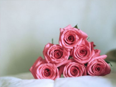 2019白色情人節(jié)朋友圈說說大全 314白色情人節(jié)祝福語說說暖心