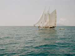 微信說(shuō)說(shuō)和愛(ài)情有關(guān)的句子 一句話詮釋愛(ài)情的經(jīng)典說(shuō)說(shuō)