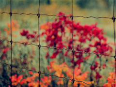 充滿陽(yáng)光的簡(jiǎn)短句子 鼓勵(lì)人的勵(lì)志說(shuō)說(shuō)心靈雞湯合集