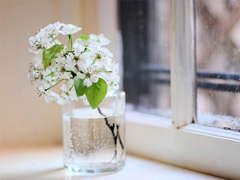 最能讓對(duì)方感動(dòng)的話很窩心 可愛呆萌的溫暖小情話