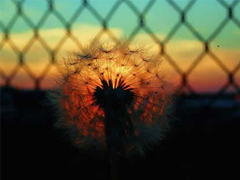 30條有道理的經典說說 簡短但是道理深刻的句子大全