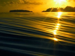 最新秀恩愛的幸福心情說(shuō)說(shuō) 雙11狂虐單身人士的說(shuō)說(shuō)大全