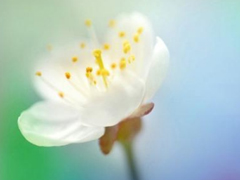 適合這個(gè)年紀(jì)發(fā)的說說朋友圈 簡單又走心的心情說說引人共鳴