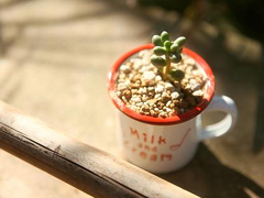 很有名的思想家們關(guān)于人生的一些建議 特別精辟的人生格言經(jīng)典說說