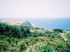 2018經(jīng)典英文個(gè)性說(shuō)說(shuō)大全帶翻譯 很有哲理有道理的精辟英文說(shuō)說(shuō)