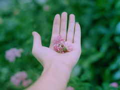 有點(diǎn)好笑又甜蜜的土味情話大合集 我是可愛的小姑娘你是可愛