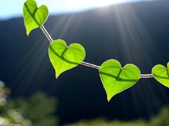 關(guān)于愛(ài)情很精辟很有哲理的一句話(huà)說(shuō)說(shuō) 既現(xiàn)實(shí)又有道理的愛(ài)情說(shuō)說(shuō)大全