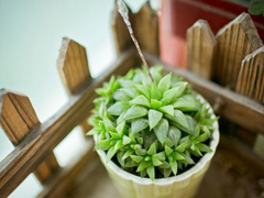 網(wǎng)易云音樂熱評(píng)語錄短語精選2019 我勸你早點(diǎn)喜歡我免得浪費(fèi)時(shí)間