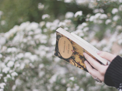 關(guān)于愛(ài)情很心酸的傷感說(shuō)說(shuō) 文藝范傷感愛(ài)情說(shuō)說(shuō)文字控喜歡的