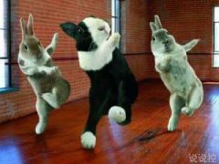 搞笑逗比說(shuō)說(shuō)大全，適合發(fā)說(shuō)說(shuō)的逗比段子