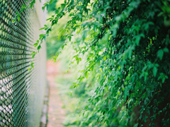 愛情中的孤獨(dú)寂寞說說 每個(gè)人都曾在愛情中流淚的傷感說說