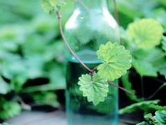 關(guān)于你我之間的愛(ài)情的說(shuō)說(shuō) 提到感情有些無(wú)措的愛(ài)情說(shuō)說(shuō)