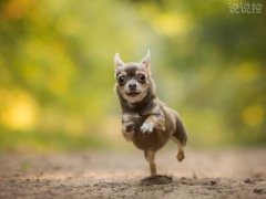 搞笑的朋友圈說說，適合發(fā)朋友圈的搞笑段子