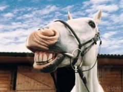 QQ搞笑說(shuō)說(shuō)段子：今晚，我托一只蚊子去找你，讓它替我親親你