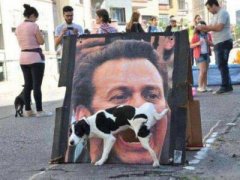 幽默的說(shuō)說(shuō)笑死人：你說(shuō)你要和我共白頭，我染完你又說(shuō)我非主流