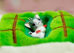 關(guān)于秋褲的搞笑句子，忘穿秋褲的搞笑段子