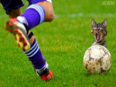 幽默搞笑的說說，幽默搞笑的段子