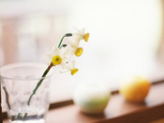 2019四月你好說(shuō)說(shuō)充滿(mǎn)正能量 聽(tīng)起來(lái)很溫暖的心情說(shuō)說(shuō)