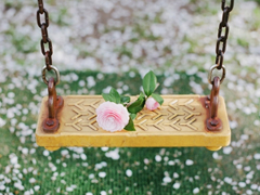 吸引人的微信動態(tài)說說 被秒贊的一句話內涵說說