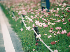 2018最后一天對自己說的話經(jīng)典版 致即將逝去的2018！