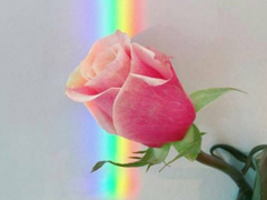 只想送給自己的句子說(shuō)說(shuō)心情精選 朋友圈適合艾特自己的說(shuō)說(shuō)大全