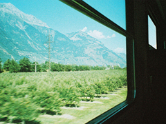 201經(jīng)典語(yǔ)錄勵(lì)志心靈雞湯 關(guān)于人生感悟的經(jīng)典語(yǔ)錄