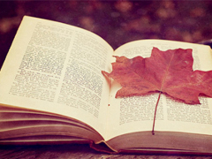 簡單平凡的愛情說說大全最新版 只想和你擁有小幸福說說