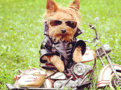 女人不花心，又怎么對(duì)得起貌美如花