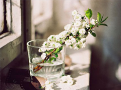 最新朋友圈經(jīng)典說說2019精選 好聽的微信經(jīng)典說說