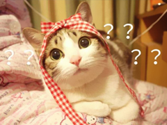 特別好笑又好玩的搞笑說說大全 讓人捧腹大笑的搞笑內涵說說