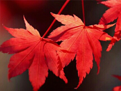 抖音最吸引人的經(jīng)典說(shuō)說(shuō) 發(fā)朋友圈別人點(diǎn)贊必評(píng)的個(gè)性說(shuō)說(shuō)