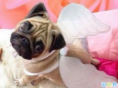 幽默搞笑的句子，最幽默的一句話