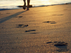 很走心的簡短經(jīng)典說說大全 總有一些話會(huì)震撼到你的心靈