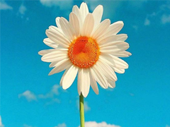 對愛情徹底死心的傷感說說2018 一句話讓人瞬間落淚的愛情說說