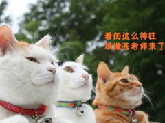 2018清明節(jié)搞笑說說：清明節(jié)應(yīng)該回小學(xué)初中掃掃墓，因?yàn)槟抢锫裨崃四愕那啻骸? data-Hkna=