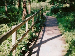 偶然看見的一句話可以打動(dòng)你心 很經(jīng)典的愛情說說大全2018