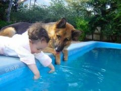 搞笑的說(shuō)說(shuō)句子心情：夢(mèng)想還是要有的，不然哪天喝多了你跟人聊啥