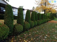 快手熱門搞笑段子，快手搞笑說說大全