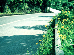 生活說說很現(xiàn)實(shí)的說說2018心情短語 穿透人心的說說簡短一句話