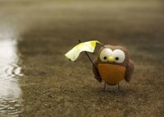 經(jīng)典搞笑說說大全：數(shù)學(xué)其實十分簡單，只是剩下那90分很難