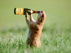 搞笑QQ說(shuō)說(shuō)大全：別再敬往事一杯酒了，往事都特么喝吐了