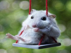 QQ空間惡搞說說：那些年錯(cuò)過的大雨，請(qǐng)務(wù)必在軍訓(xùn)時(shí)還給我