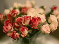 15條愛情說(shuō)說(shuō)我的心里話 愛情中最真實(shí)的感受說(shuō)說(shuō)配圖