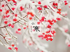 2019小寒節(jié)氣的說(shuō)說(shuō)大全唯美有詩(shī)意 小寒節(jié)氣發(fā)朋友圈的說(shuō)說(shuō)
